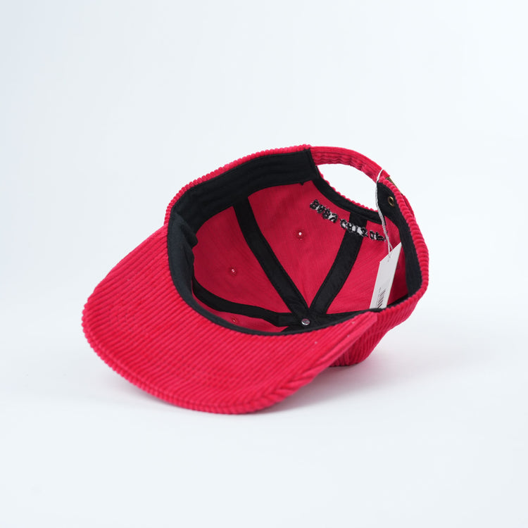 Adult Catsicle Corduroy Hat