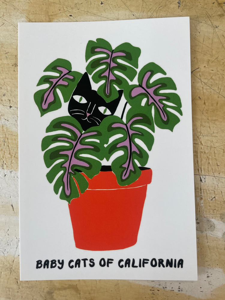 Baby Cats Postcards